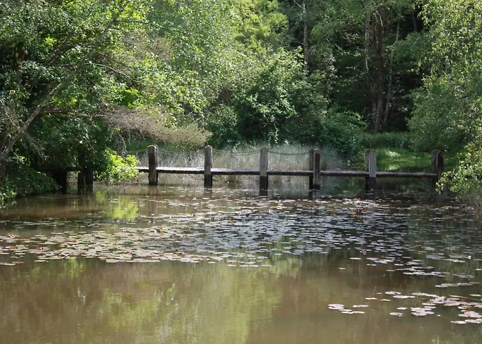Spruce Lake