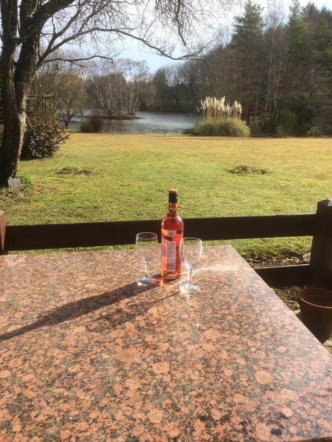 Spruce Sauviat-sur-Vige