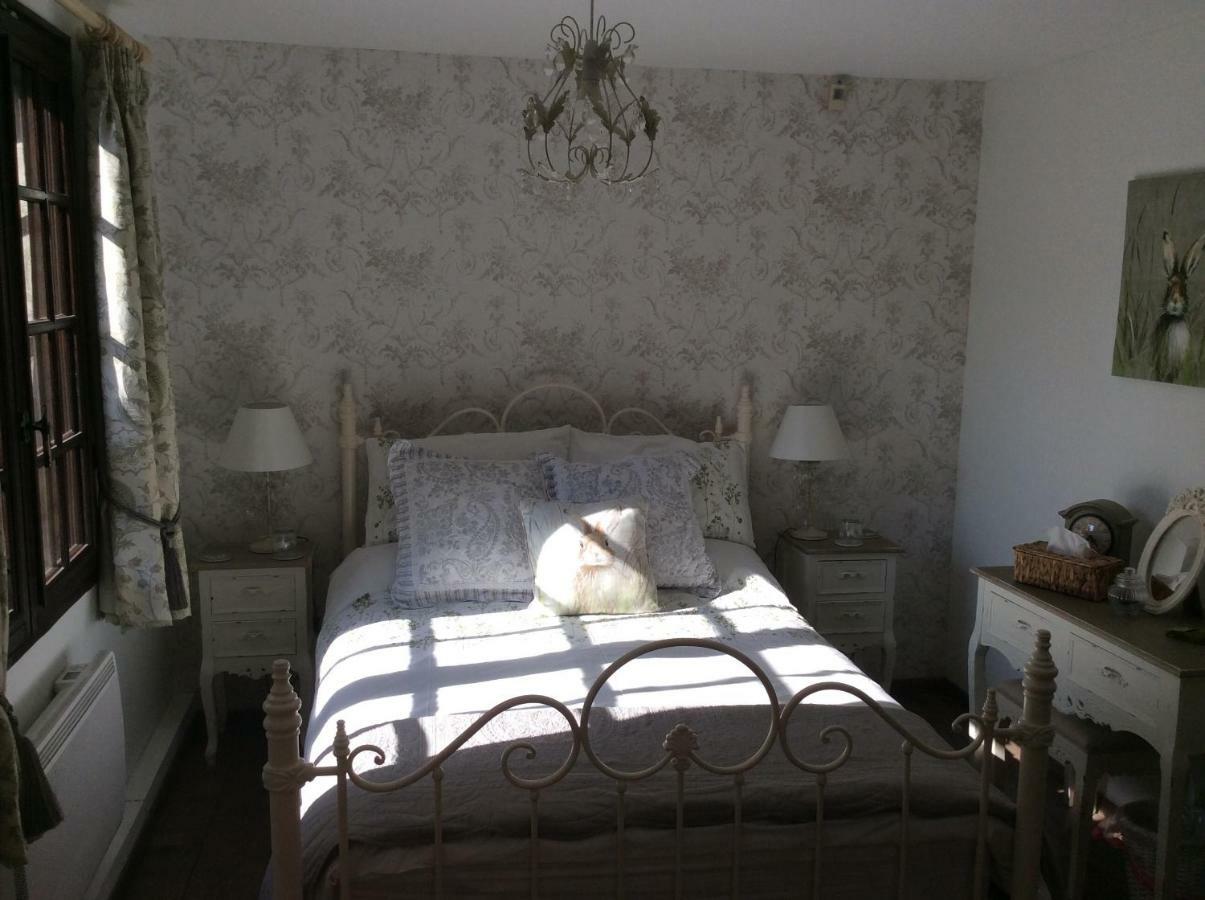 Spruce Sauviat-sur-Vige