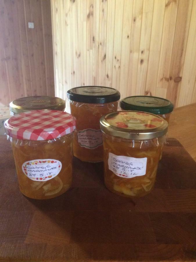Spruce Bed & Breakfast Sauviat-sur-Vige